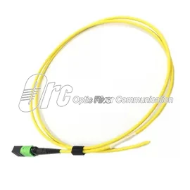 8F MPO / APC Fiber Optik Pigtail